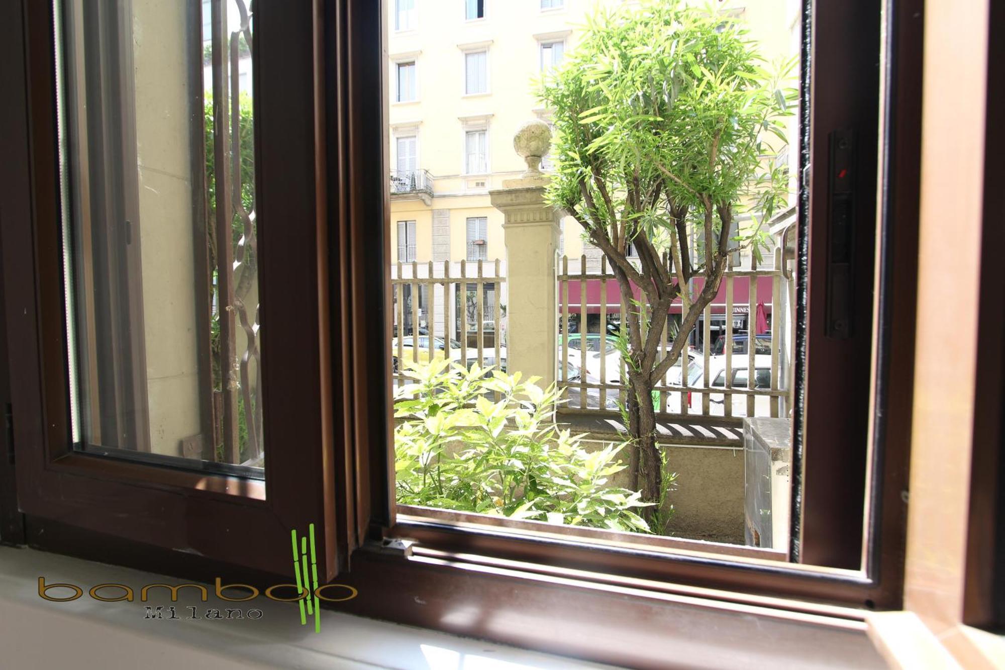 Bamboo Montenero